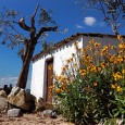 Wonen in Portugal: meer vrijheid en lekkages Om lekker vrij te wonen kun je goed in Portugal terecht. Volgens onderzoek van Eurostat over de woonomstandigheden van Europeanen in 2009 dat gisteren werd gepubliceerd, woont ruim 40 procent...