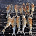 Sardientjes en muziek tijdens festival in Portimão Het jaarlijks terugkerende ‘Festival da Sardinha Portimão’ in de gelijknamige vissersstad gaat aanstaande vrijdag weer van start. Tot en met 15 augustus zijn er behalve heel veel sardientjes, wijn en...