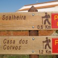 Zomers is het misschien te heet, maar de rest van het jaar kun je heerlijk wandelen in de Algarve. Hou je van stoere rotskusten en heuvelachtig gebied ga dan lopen...