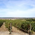 Alentejo: toplocatie voor tweede huis en wijngaard Het Britse dagblad The Telegraph heeft onlangs de Alentejo in Portugal uitgekozen tot een van werelds toplocaties voor een tweede huis. De krant stelde een top twintig samen van de...