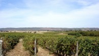 Alentejo: toplocatie voor tweede huis en wijngaard Het Britse dagblad The Telegraph heeft onlangs de Alentejo in Portugal uitgekozen tot een van werelds toplocaties voor een tweede huis. De krant stelde een top twintig samen van de...