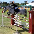 Vilamoura staat maar liefst bijna een hele maand in het teken van de springpaarden.  Gisteren zijn de eerste wedstrijden van de Vilamoura Equestrian Tour 2012 gestart. Maar wie wil gaan...